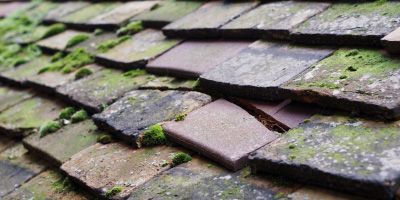 Llangynog roof repair costs